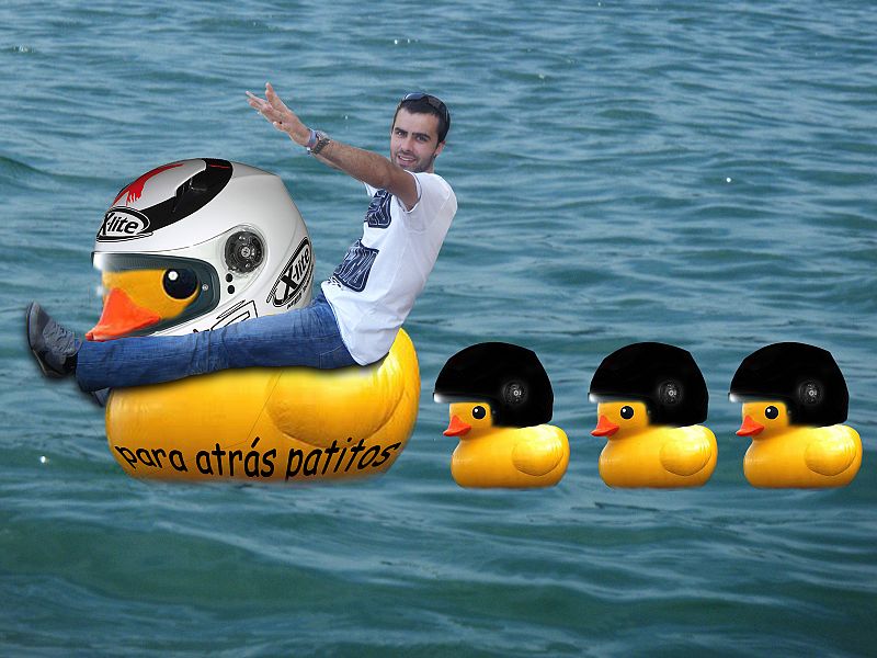 Para atrás patitos