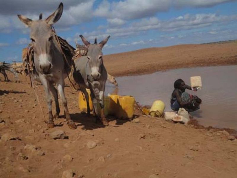 Mujeres recogiendo con bidones de agua en una charca de Etiopía.