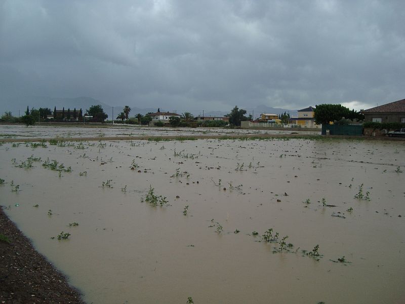 Muchos campos de la huerta murciana quedaron inundados este lunes en tan solo cinco minutos.