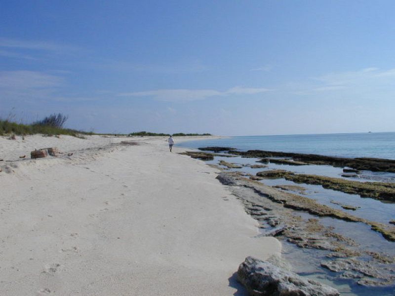 El Parque Nacional de Dry Tortugas destaca por sus corales y praderas marinas, que se encuentran entre las mejor conservadas de los Cayos de Florida. A sus playas se acercan las tortugas marinas cada año para poner sus huevos.