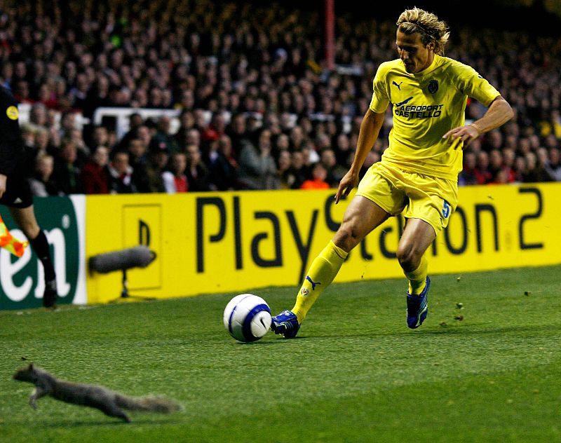 Una ardilla se atraviesa en el camino de Diego Forlán en Highbury, Londres (Abril, 2006)