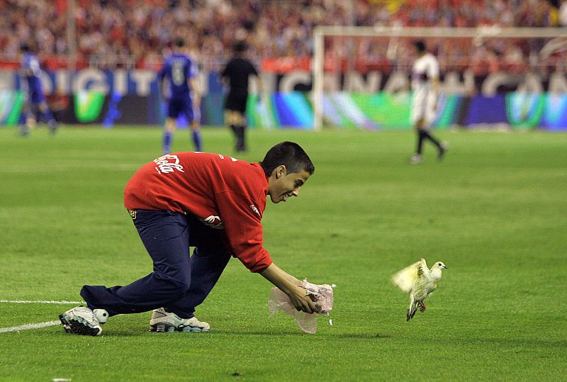 Un recogepelotas intenta atrapar un pajarillo que se había metido en el estadio del Sevilla para que pueda empezar el partido