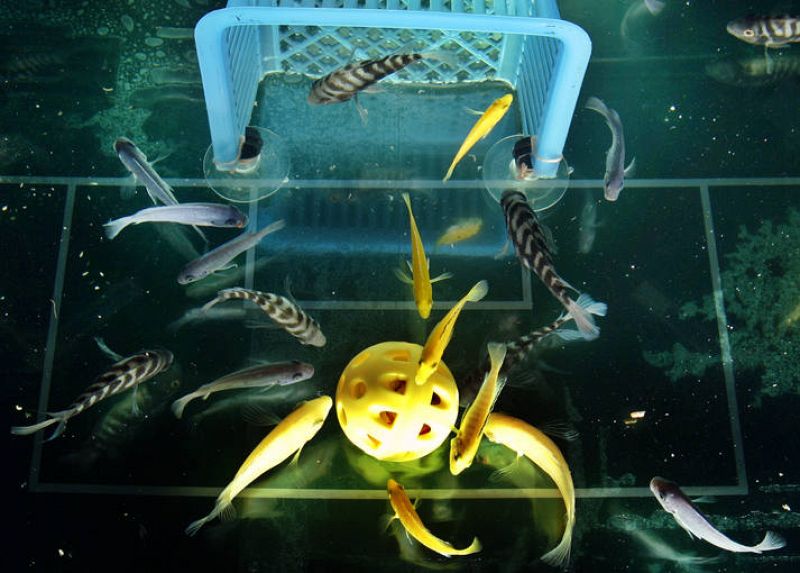 Una pecera decorada como un estadio de fútbol en el aquarium de Kuala Lumpur, 2006.