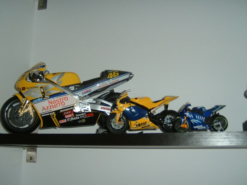 CARMEN VIADÉ PALACIOS.