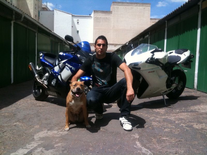 Javier Martín-Palomino González.