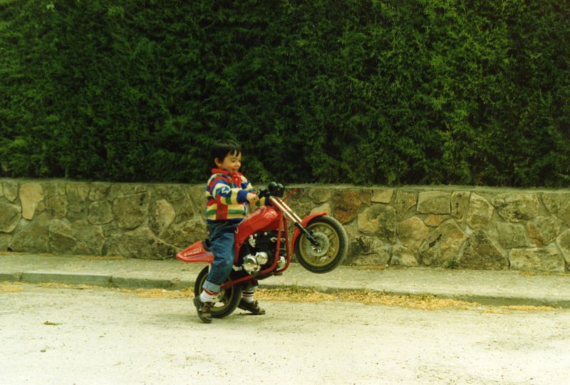 Octavio Irigoyen Cuesta.