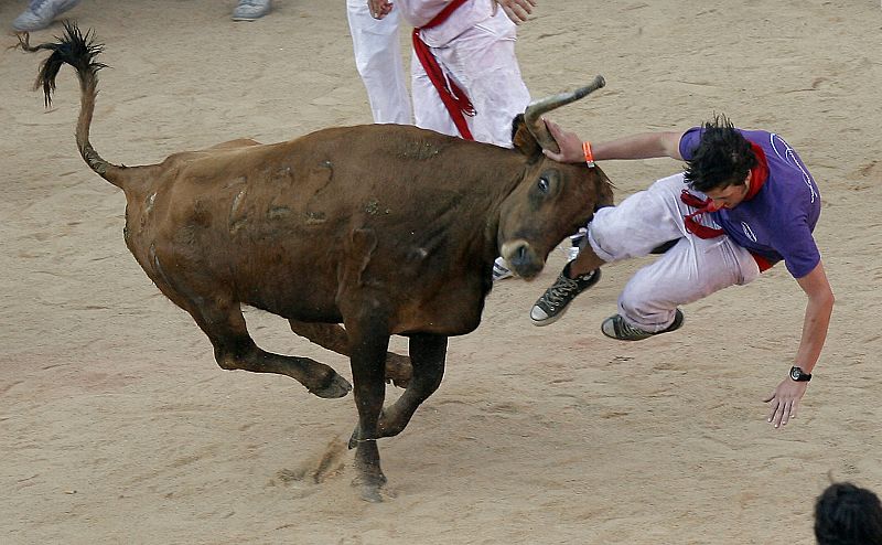 A reveller is tossed by a fighting cow during festivities in the bull ring during the San Fermin festival in Pamplona