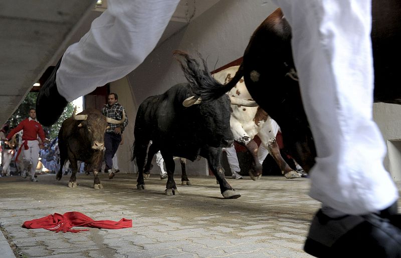 SEGUNDO ENCIERRO SANFERMINES 2010