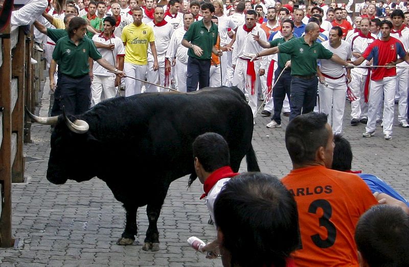 SANFERMINES 2010