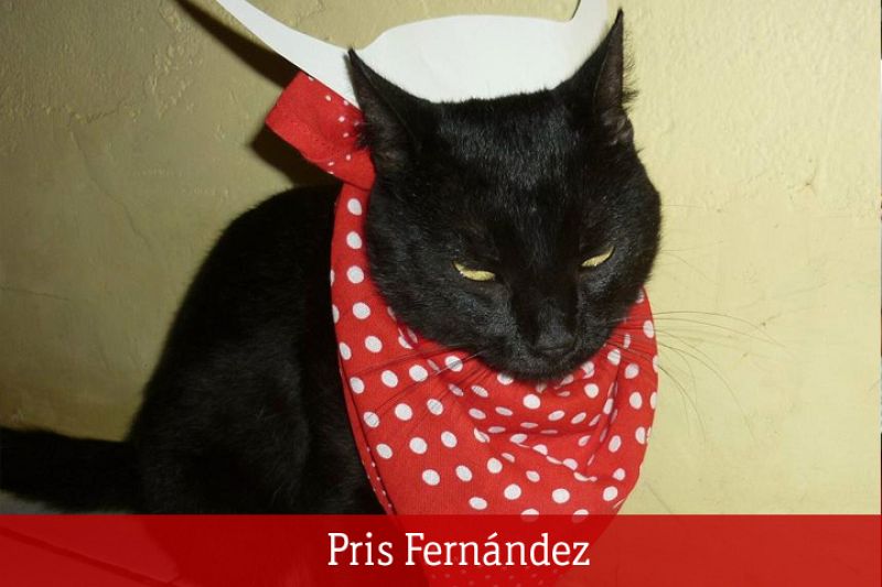 Sanfermines 2010: Pris Fernández