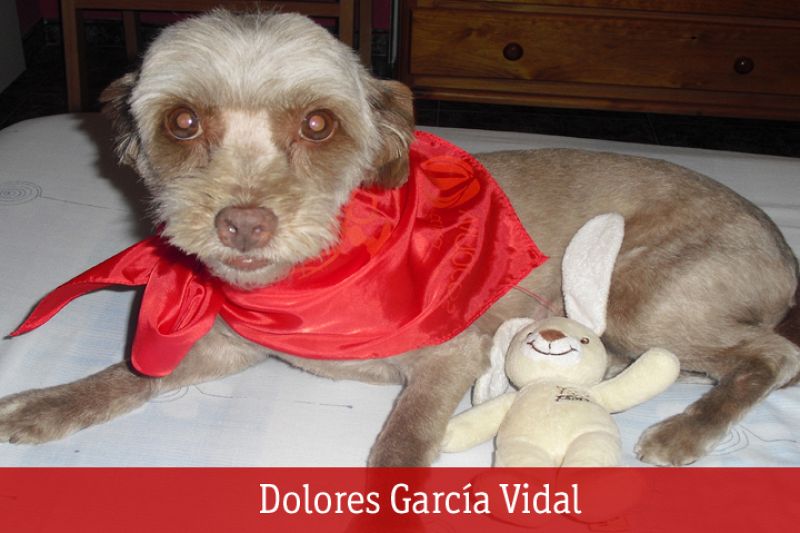 Sanfermines 2010: Dolores García Vidal