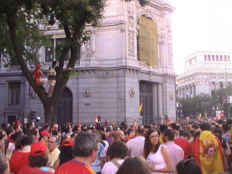 Hasta a los árboles se habían subido los aficionados para animar a los héroes.