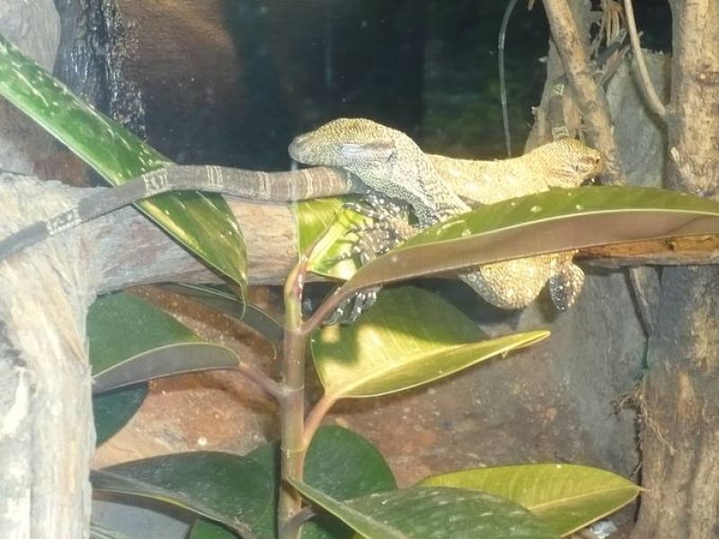  'Naturaleza misteriosa' en el Museo de la Ciencia de Valladolid