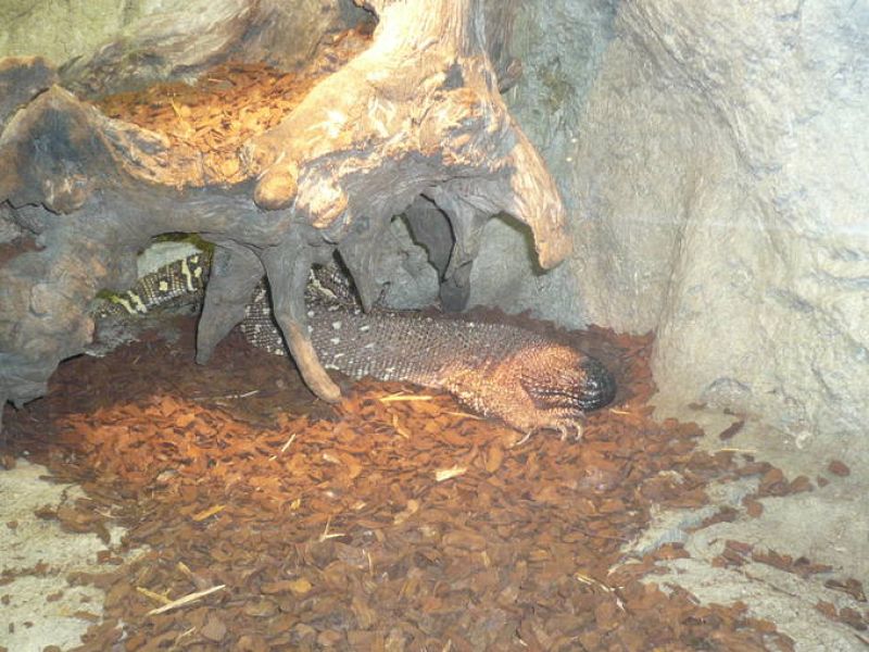  'Naturaleza misteriosa' en el Museo de la Ciencia de Valladolid