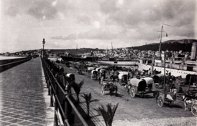 Carretas en el puerto de Palma