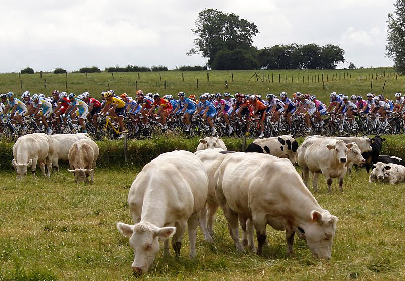 The pack of riders cycle during the second stage of the Tour de France cycling race from Brussels to Spa