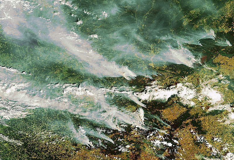 IMAGEN SATELITAL DE LOS INCENDIOS QUE SIGUEN ACTIVOS EN RUSIA