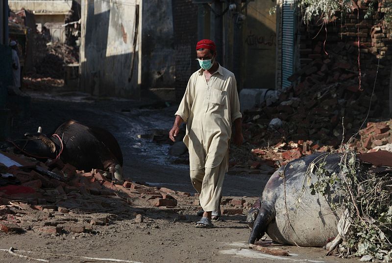 A resident wearing a mask walks past dead livestock after flood waters receded in Nowshera, located in Pakistan's northwest Khyber-Pakhtunkhwa Province