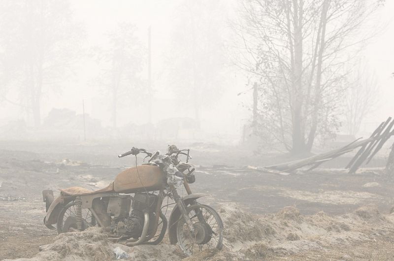 DISMINUYE LIGERAMENTE EL NÚMERO DE INCENDIOS FORESTALES EN RUSIA