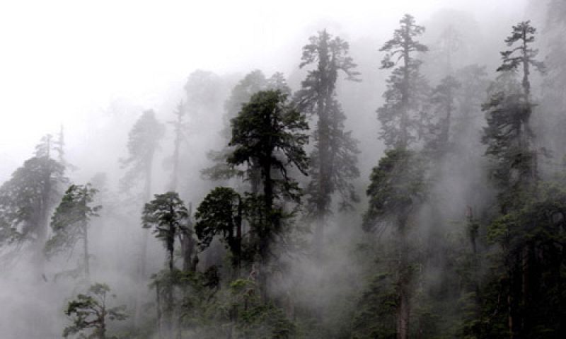 £¿¿«²Ê»ªÏÄ£©£¿2£©ÃÔÈËµÄÄ«ÍÑ