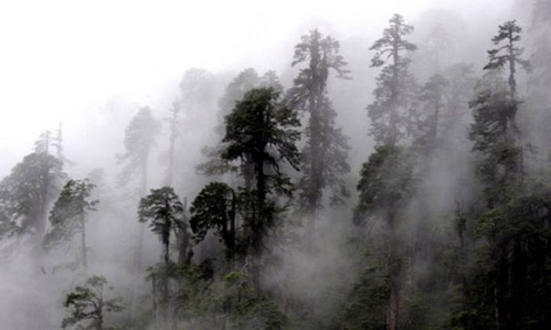 £¿¿«²Ê»ªÏÄ£©£¿2£©ÃÔÈËµÄÄ«ÍÑ