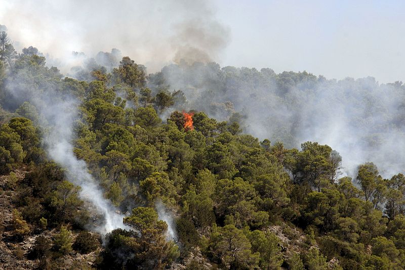 Vista de las llamas del incendio originado en la tarde del domingo en las inmediaciones de Cala Benirràs, en Ibiza.