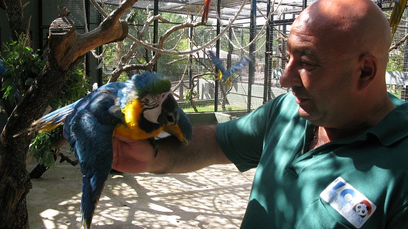 'Obama', con su cuidador del Zoo de Madrid, Julián Sánchez Romo