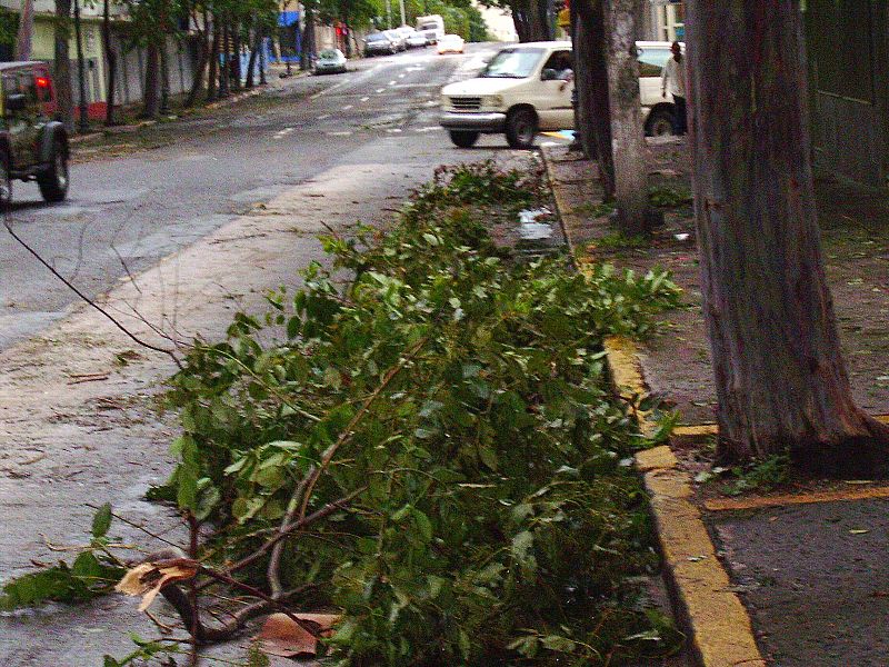 CERCA 200.000 PERSONAS SIN LUZ Y CARRETERAS CORTADAS A CONSECUENCIA DE "EARL"