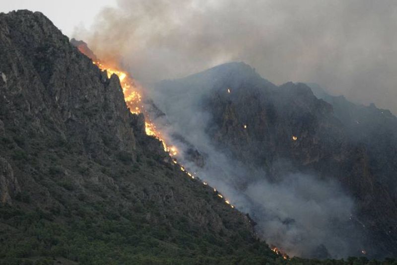 Unas 650 personas trabajan en las labores de extinción. 