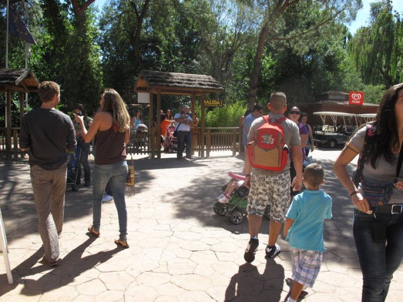  Se ha notado un aumento de público tras conocerse el nacimiento de los osos pandas