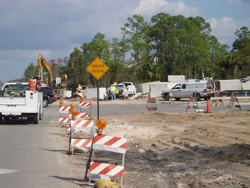 Las obras son uno de los grandes problemas para mantener el hábitat natural de las panteras de Florida