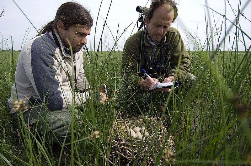 Investigadores de Doñana preparando cuadernos de campo