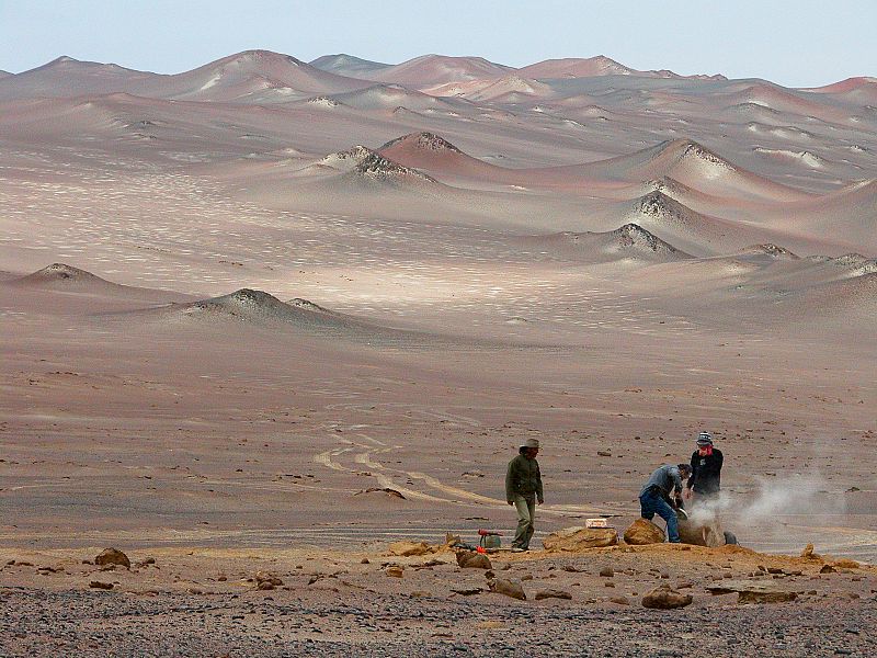 Los pingüinos de la antiguedad, muy diferentes a los actuales