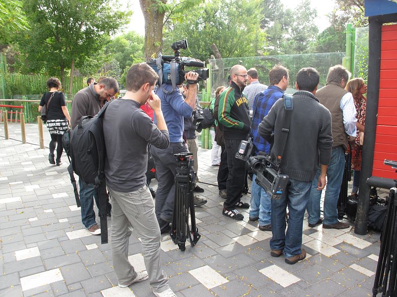 Había cola para entrar a conocer a los pandas en el día de su presentación
