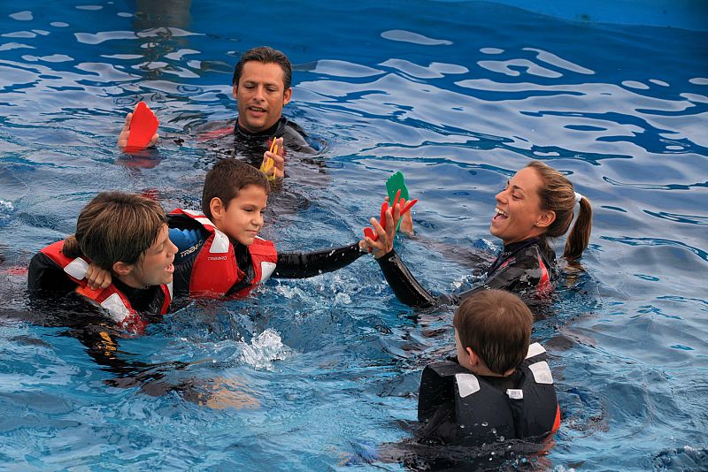 Delfinoterapia para combatir el autismo