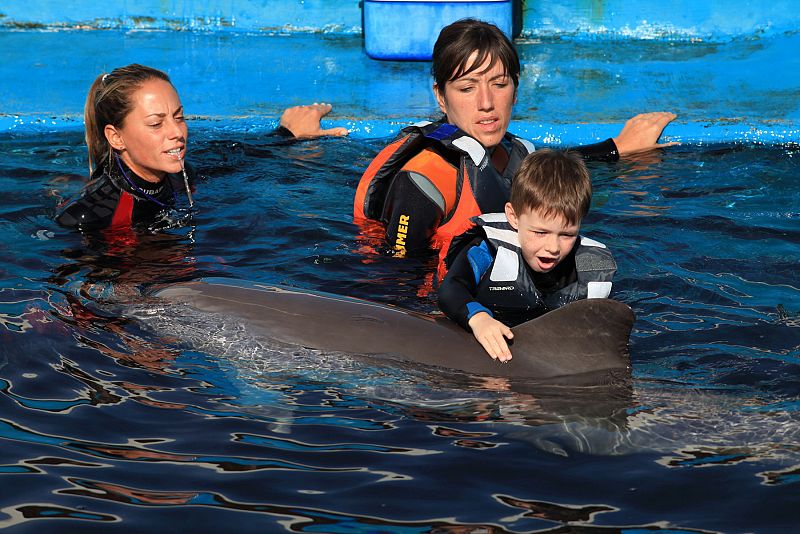 Delfinoterapia para combatir el autismo