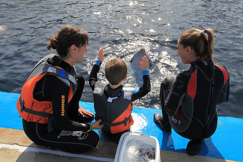 Delfinoterapia para combatir el autismo