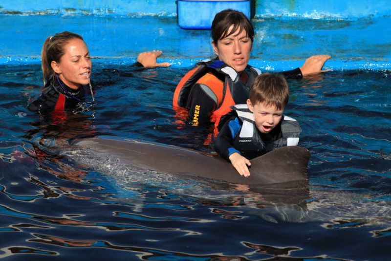 Delfinoterapia para combatir el autismo