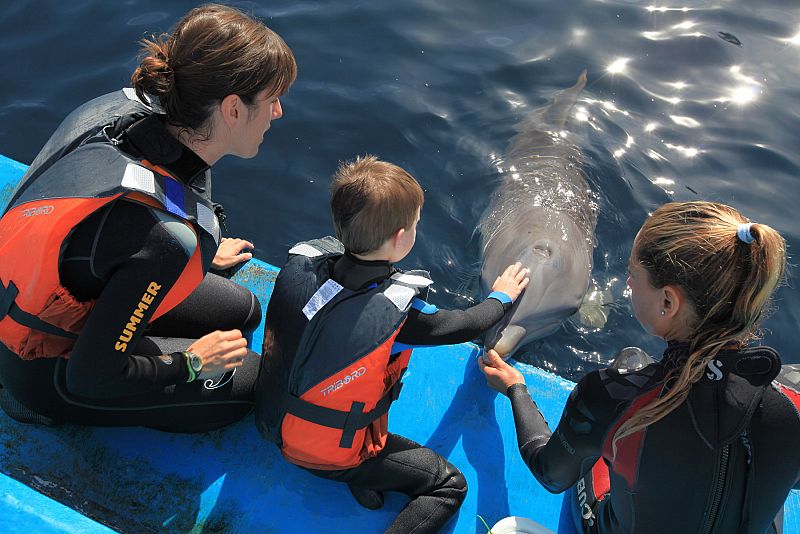 Delfinoterapia para combatir el autismo