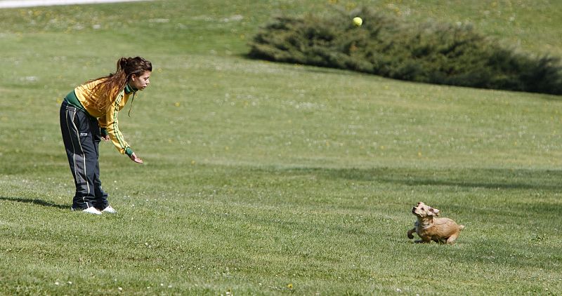 LA CE ELIGE A VITORIA COMO CAPITAL VERDE EUROPEA PARA 2012