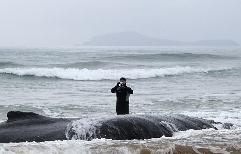 Un vecinio de Buzios (Brasil) fotografía a la ballena varada en la costa