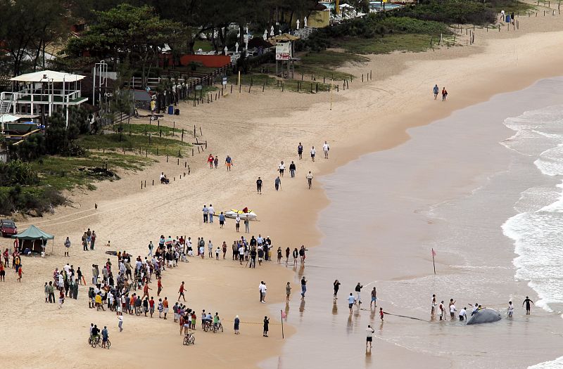 Una gran cantidad de gente se ha congregado en la playa de Geriba, donde se ha quedado varada la ballena