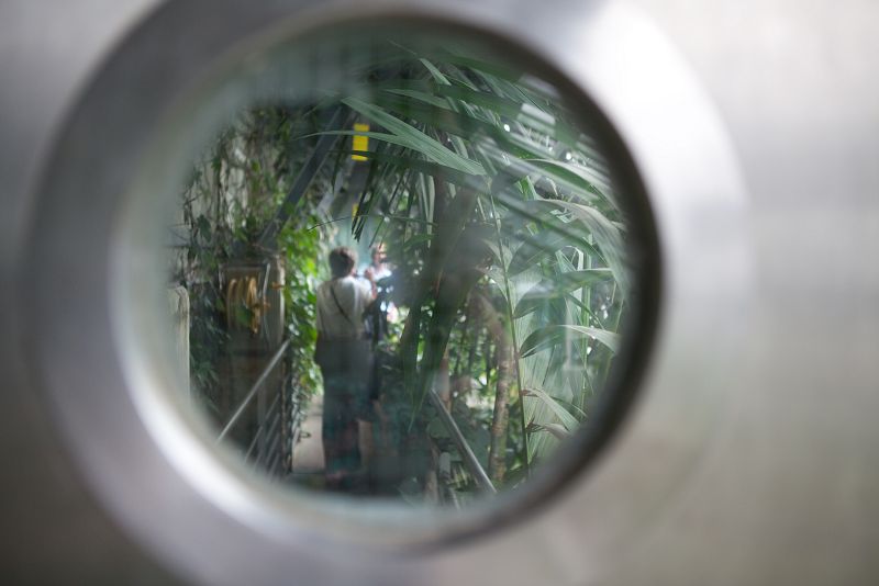 Muy cerca del Banco de Germoplasma está uno de los lugares favoritos de los visitantes: los invernaderos. Visitamos el Santiago Castroviejo. Le han puesto este nombre recientemente en honor al último director del jardín que murió el año pasado.Es un