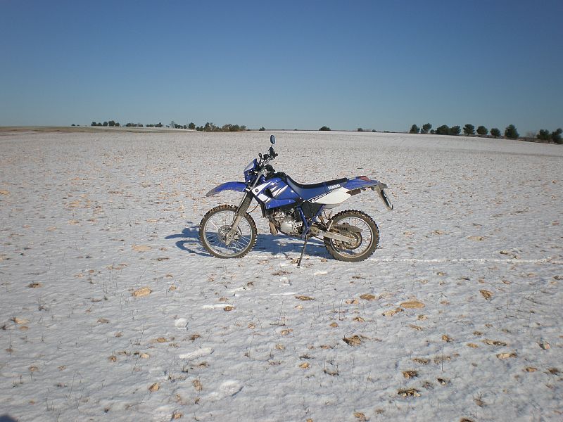 Aitor Escalada Bericat.