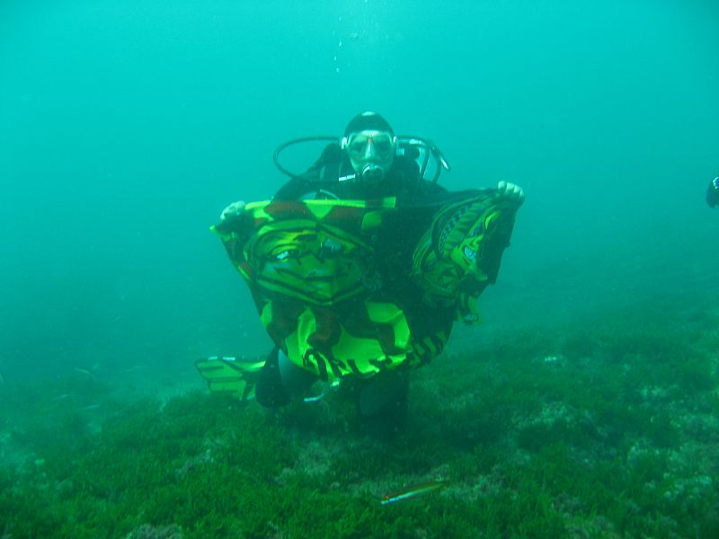 Alexis Merino Zarate.