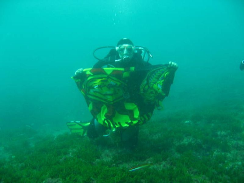 Alexis Merino Zarate.