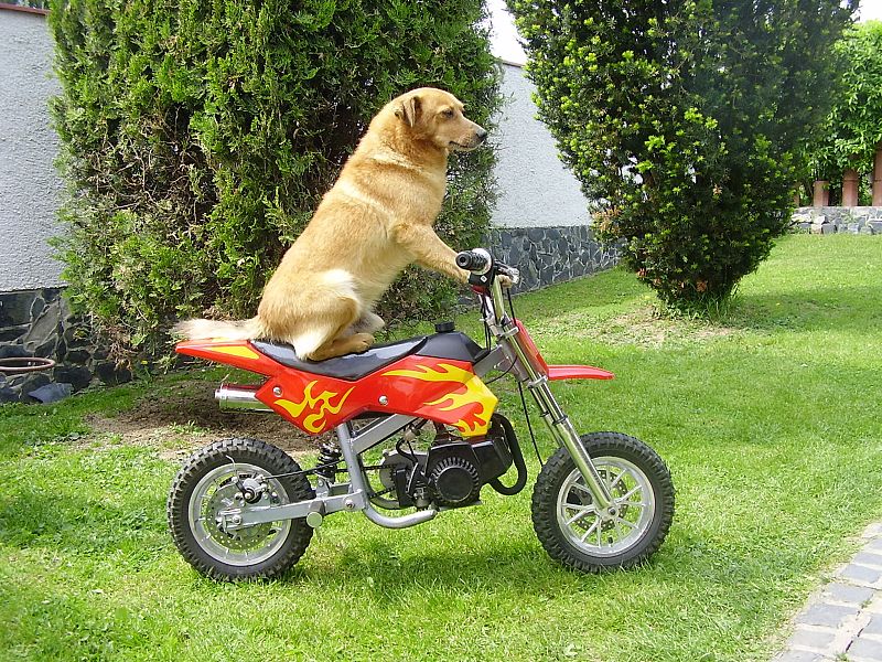 Isabel Arocas Martínez.