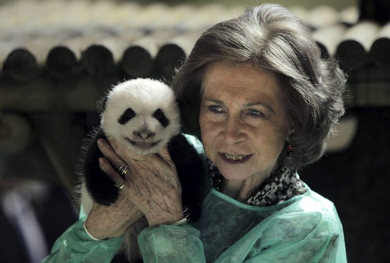 Uno de los momentos de la visita de la Reina al zoo de Madrid en el que muestra a uno de los pequeños pandas.