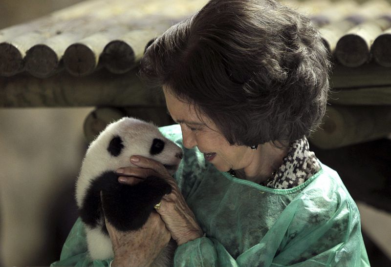 La Reina sostiene a uno de los pandas