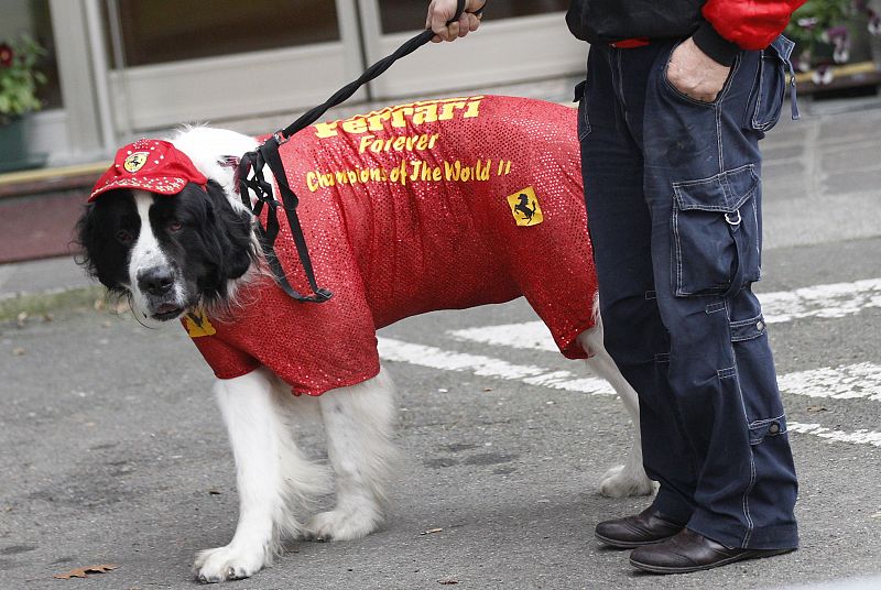 A Ferrari supporter holds onto his dog as he watches the Abu Dhabi F1 Grand Prix at Yas Marina circuit on a giant screen in Maranello